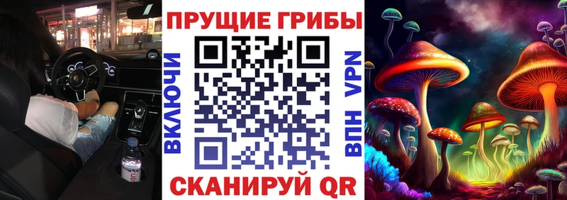 Псилоцибиновые грибы MAGIC MUSHROOMS  Петровск 